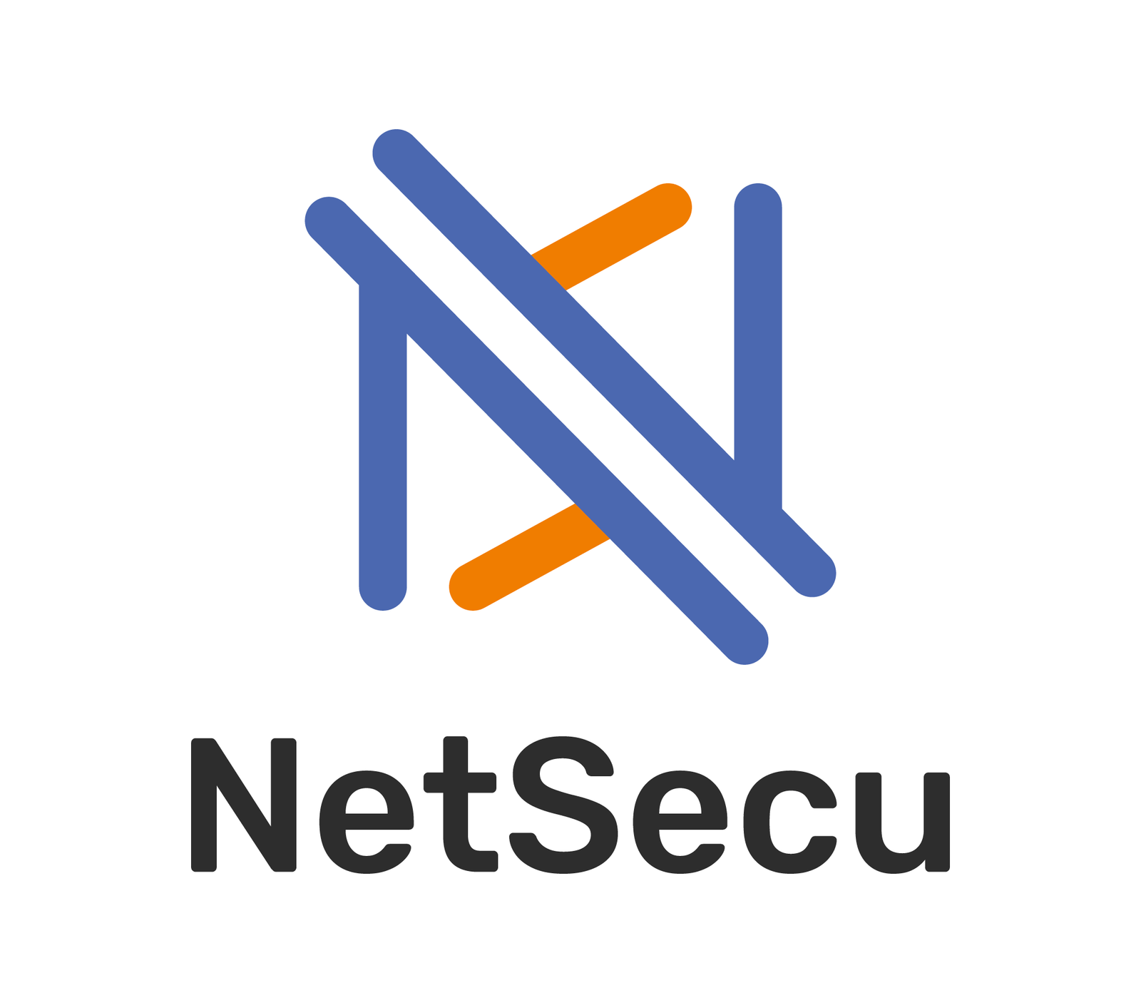 Logo crée par nos soins. Logo de NetSecu, une entreprise de sécurité informatique à Marseille.