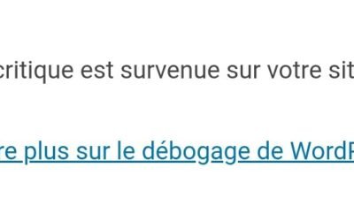 Solution Temporaire au Problème de Mise à Jour de l’Extension Up2pay e-Transactions Version 2.0.1 pour WordPress